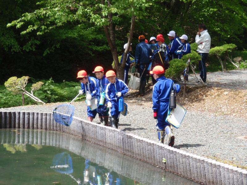 水中生物