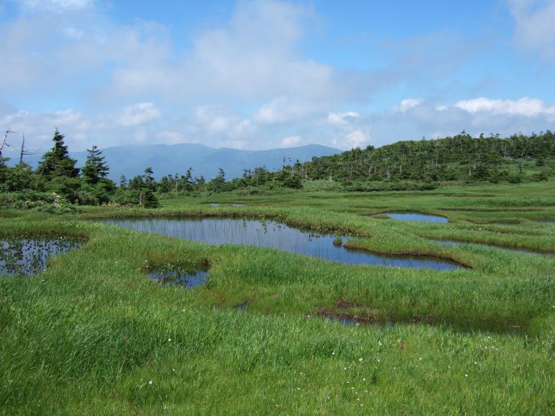 千沼ヶ原