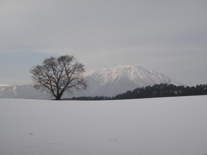 岩手山