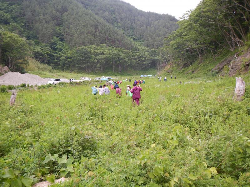 いざ、下刈へ