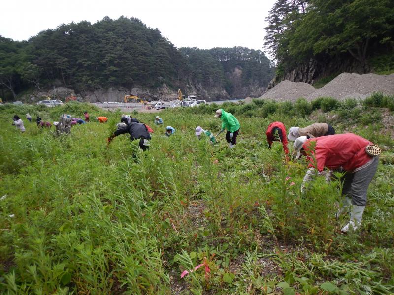 作業中