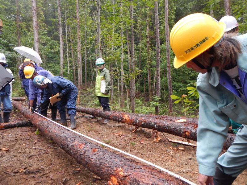 採材する参加者