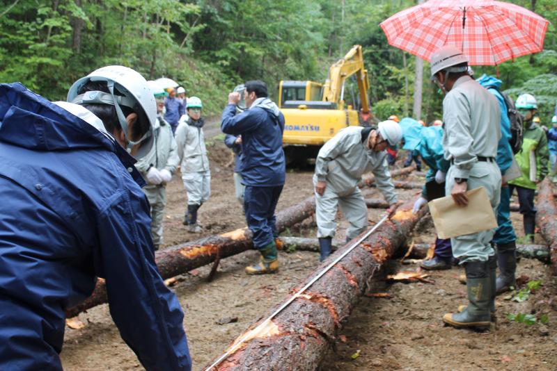 採材する参加者