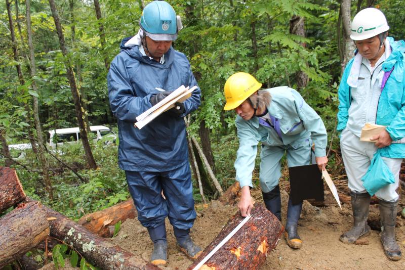 採材する参加者