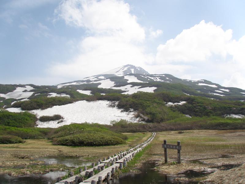 写真：竜ヶ原湿原