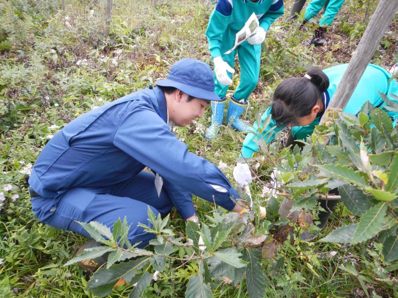 H27鶴舞小つる切り指導