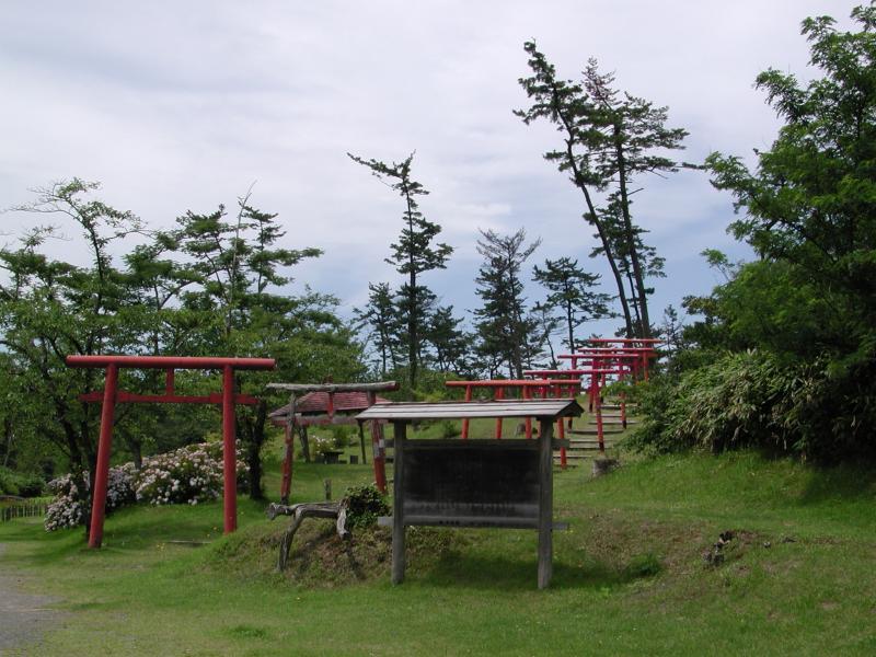 写真：菖蒲公園