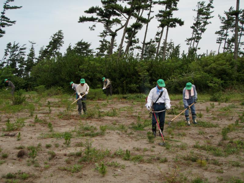 写真：ボランティア下刈