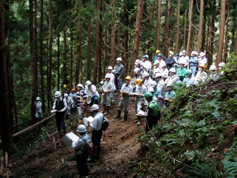 写真：現地検討会（21）