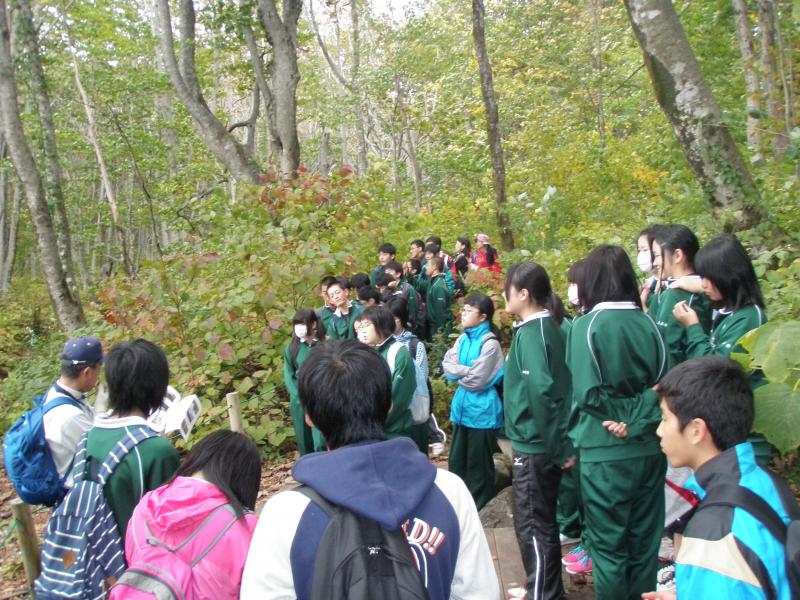 H27秋矢島高中島台散策