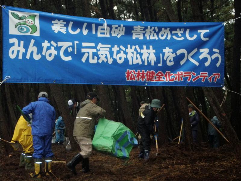 写真：松林健全化作業