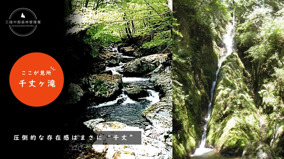 千丈ヶ滝