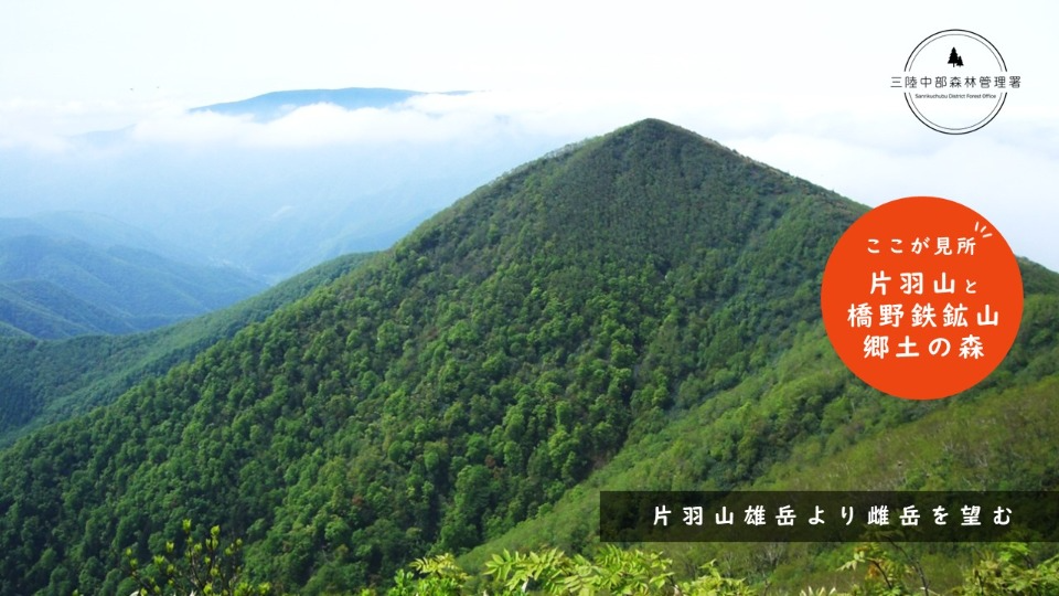 片羽山と橋野鉄鉱山郷土の森