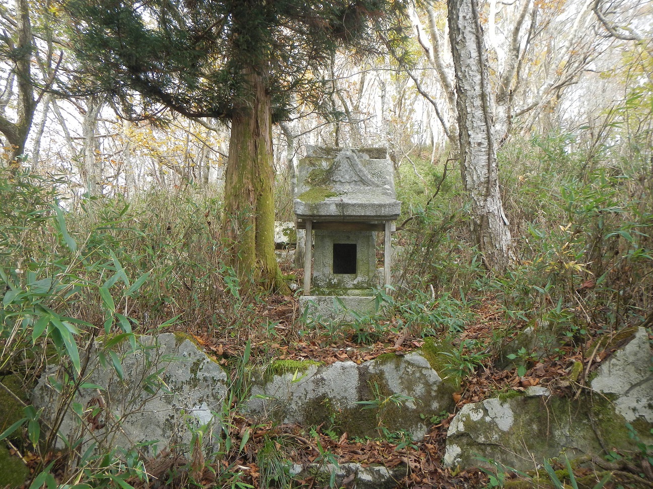 遠野支署のみどころ 東北森林管理局