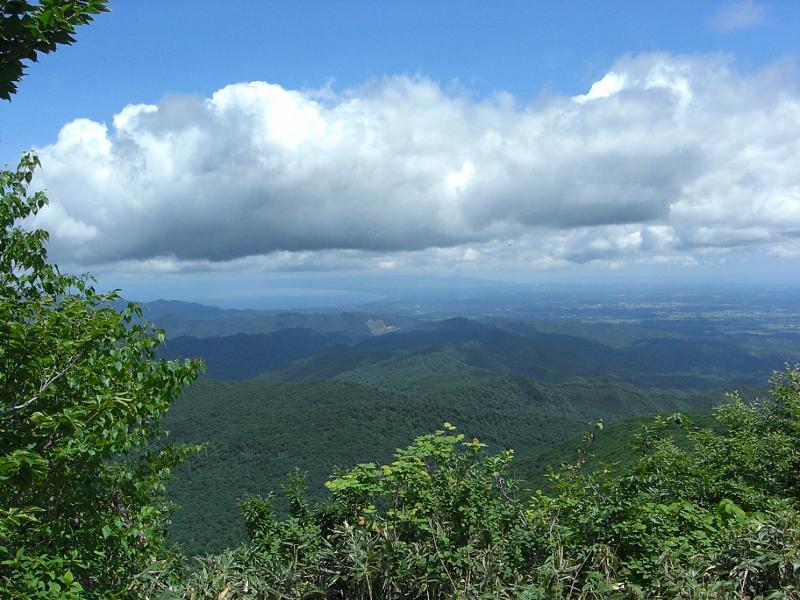 八幡岳から望む