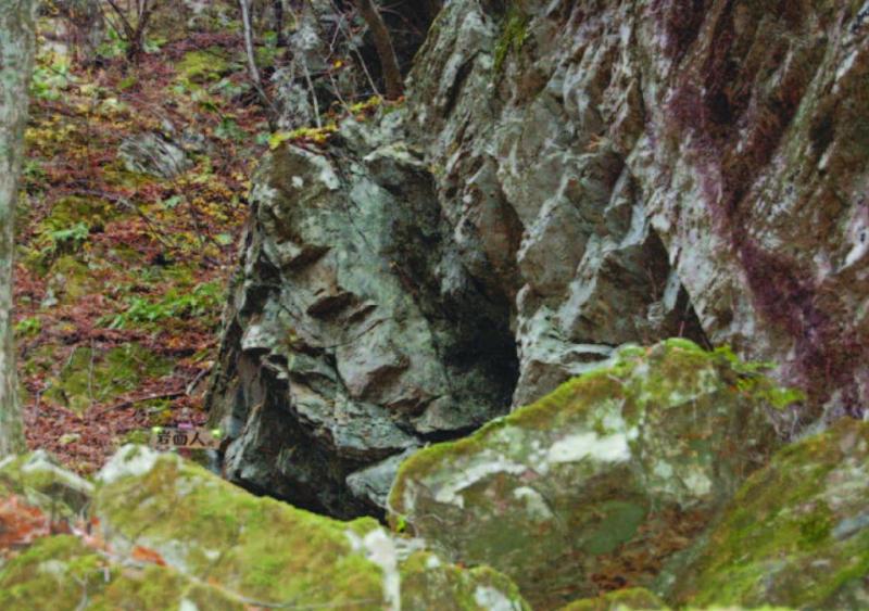 人面岩（三陸北部）