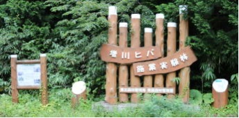 増川ヒバ施業実験林の入口