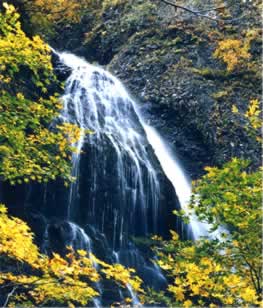 （名称）「金山、四の滝」