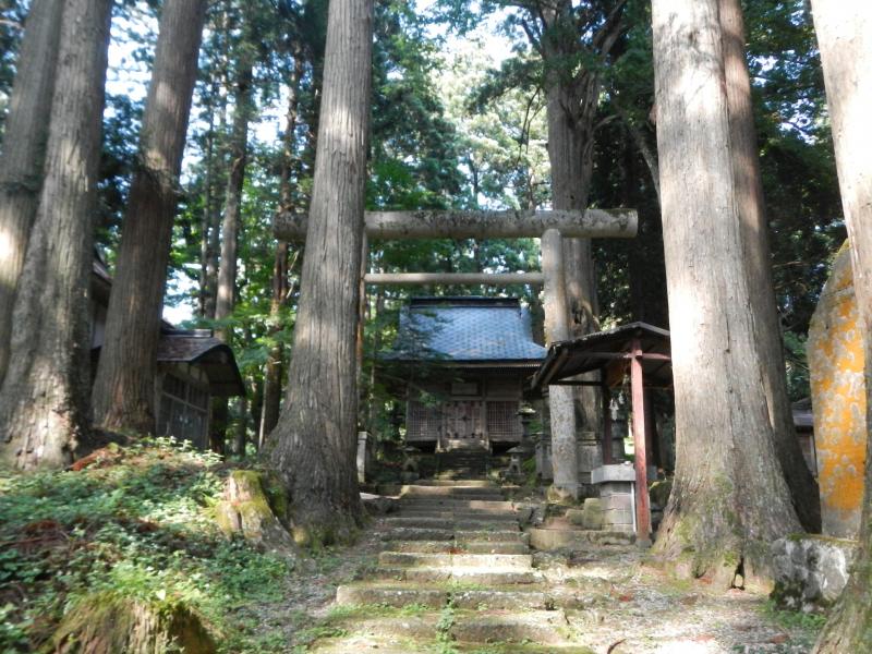 金峰神社のスギ並木１