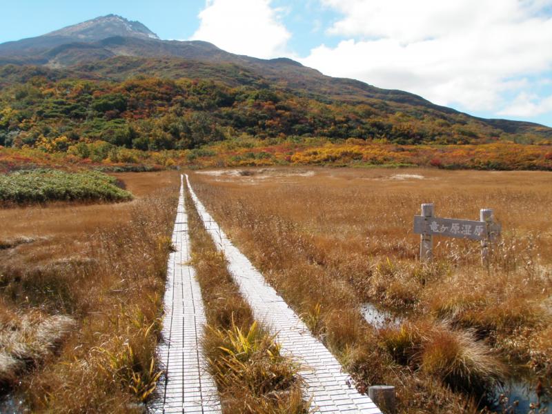 竜ヶ原湿原を通る木道