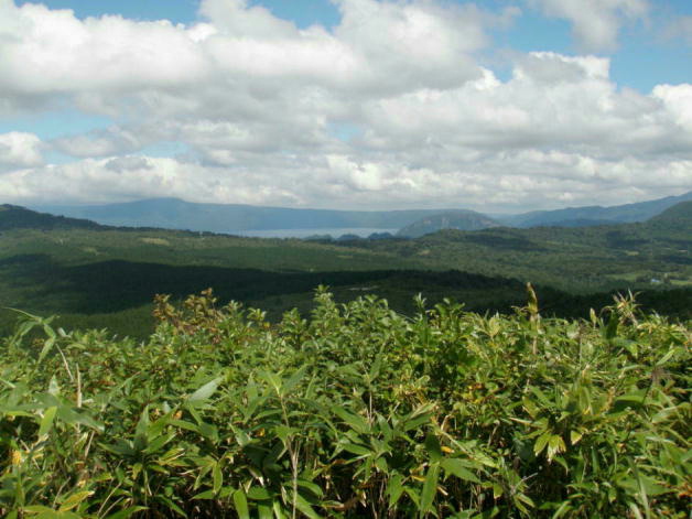 青様山から十和田湖遠望