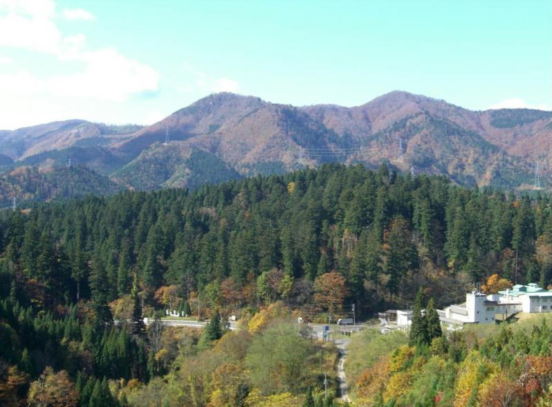 矢立峠風景林の写真
