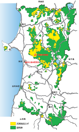 天然秋田杉の県分布