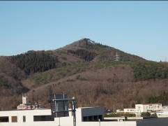 見晴らしの森1