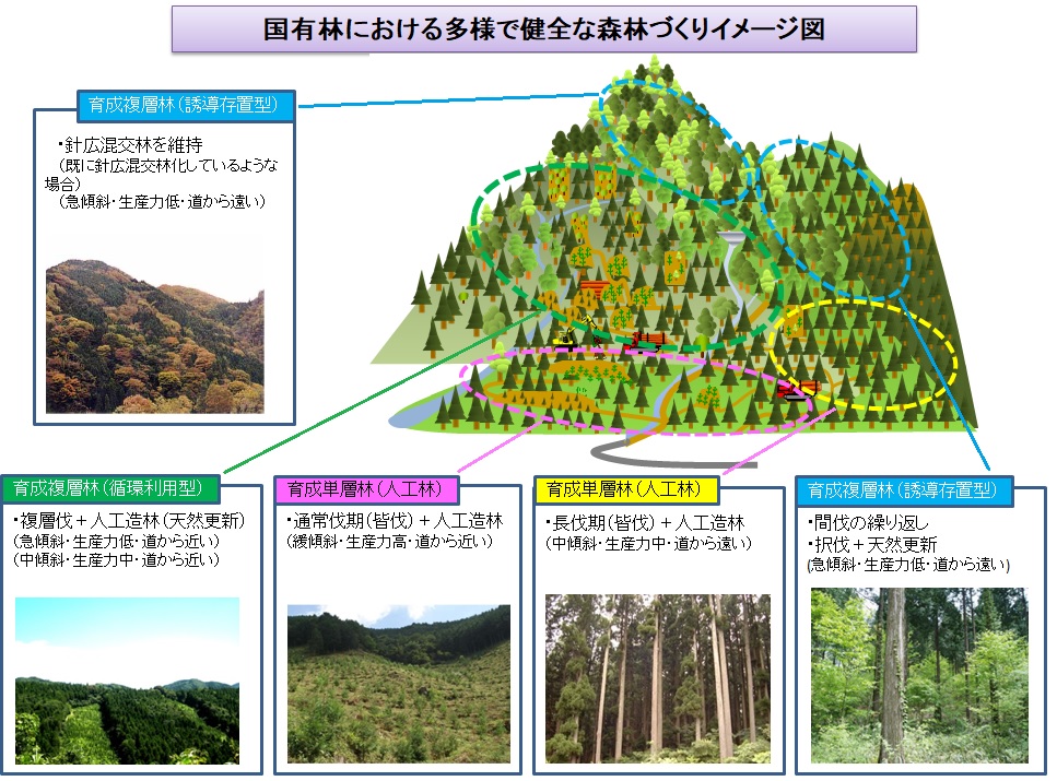 イメージ図