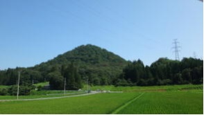 ナラ枯れ被害の監視強化地域