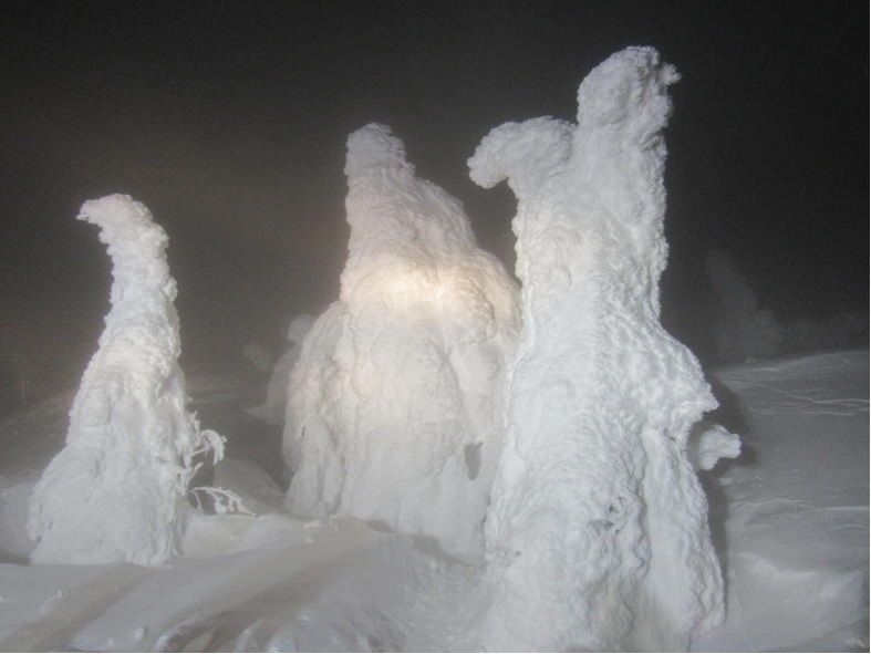 夜の樹氷