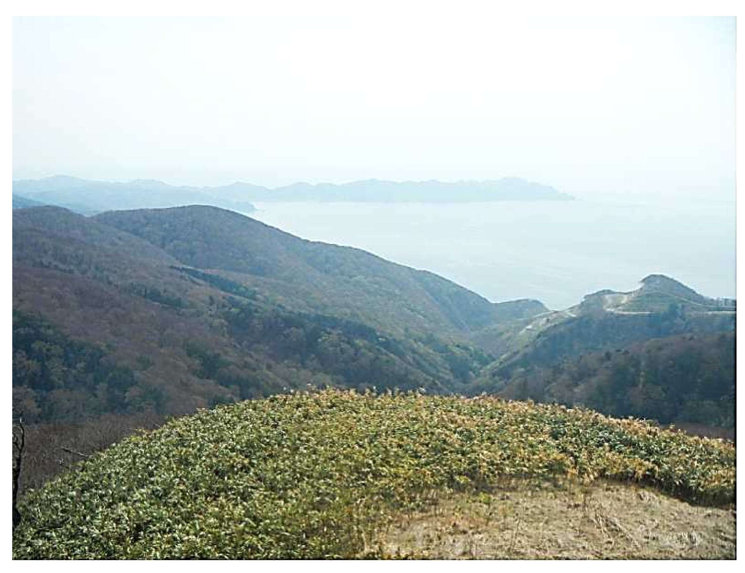 津軽森林管理署金木支署：東北森林管理局