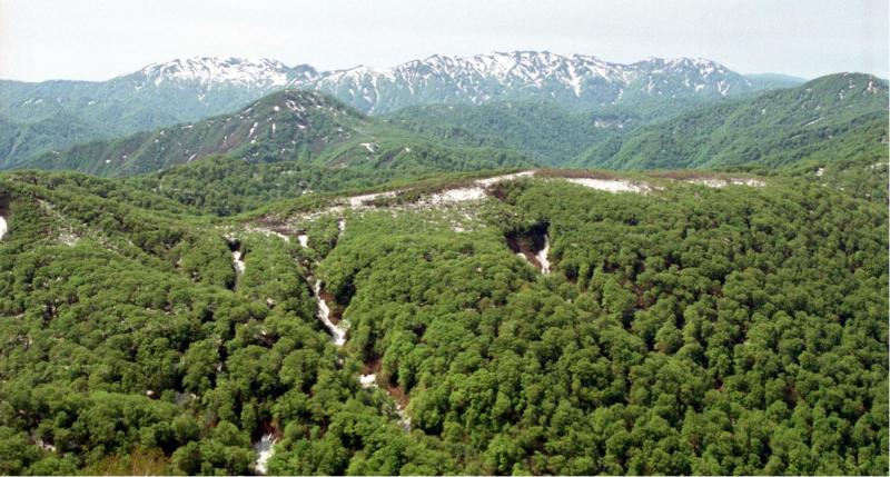 白神山地を望む