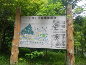 実験林説明看板