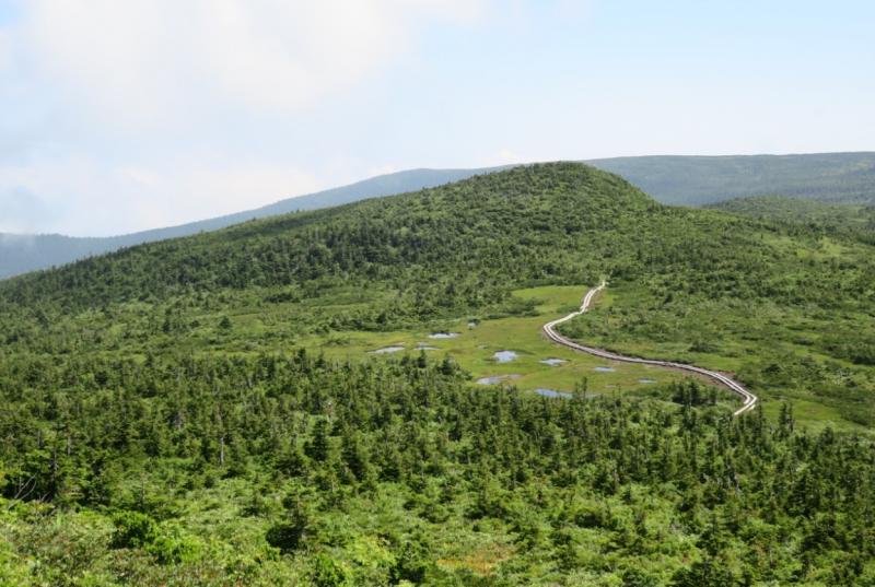 吾妻山周辺森林生態系保護地域