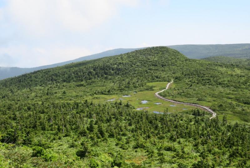 吾妻山周辺森林生態系保護地域