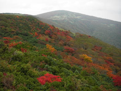 五葉山