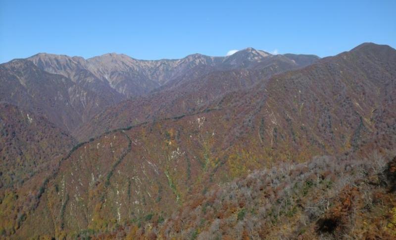 朝日山地森林生態系保護地域