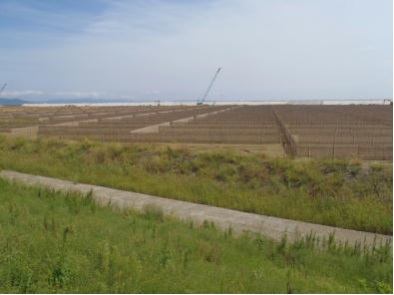 東松島市矢本地区で静砂垣工