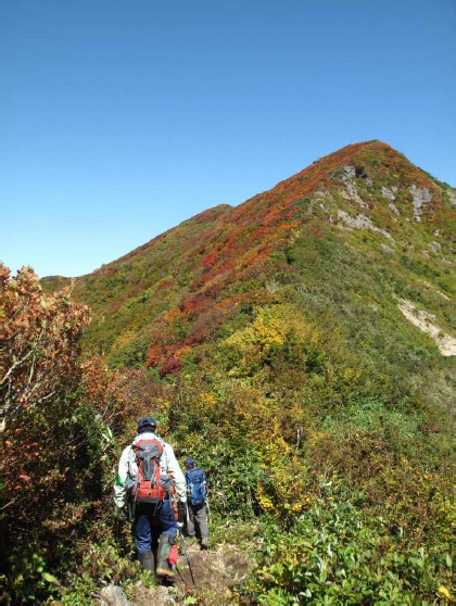 障子ヶ岳へ