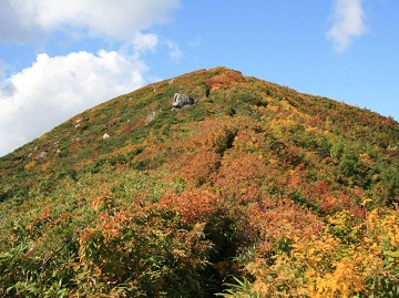 小岳山頂の紅葉