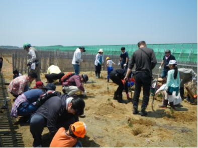 東松島市大浮足・筒場山国有林でのボラティアによる植樹