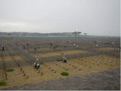 東松島市大浮足・筒場山国有林でのボラティアによる植樹2