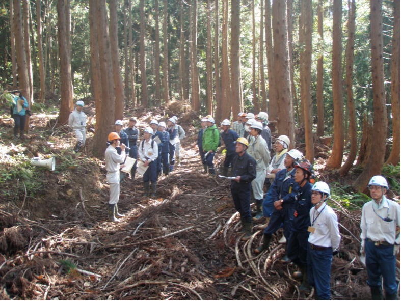 低コスト木材生産技術の現地検討会