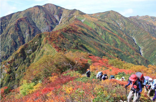 紅葉の大朝日