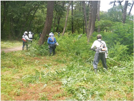 森林・一般ボランティア歩道除草作業（7月）2