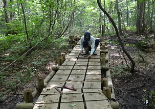 木製歩道