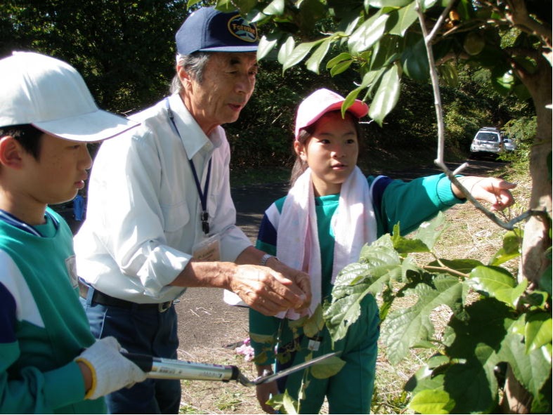 小学生を対象とした自然観察