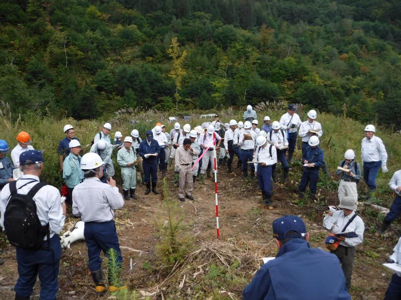 低密度植栽試験現地検討会の様子