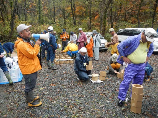 段ボール製の鉢を伐採跡地へ設置